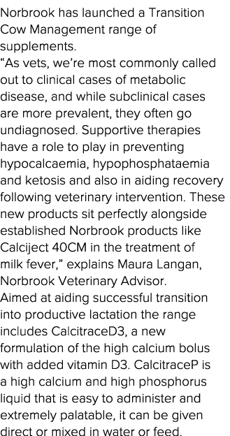 Norbrook has launched a Transition Cow Management range of supplements   As vets, we re most commonly called out to c   