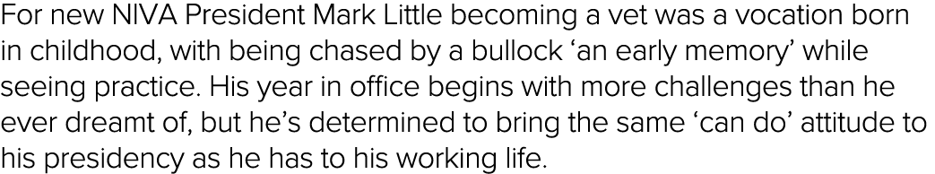 For new NIVA President Mark Little becoming a vet was a vocation born in childhood, with being chased by a bullock  a   