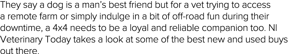 They say a dog is a man s best friend but for a vet trying to access a remote farm or simply indulge in a bit of off-   