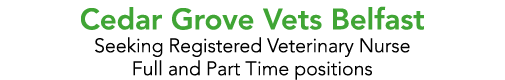Cedar Grove Vets Belfast Seeking Registered Veterinary Nurse Full and Part Time positions