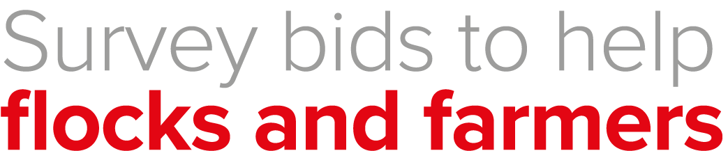 Survey bids to help flocks and farmers
