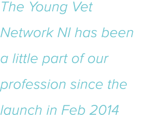 The Young Vet Network NI has been a little part of our profession since the launch in Feb 2014