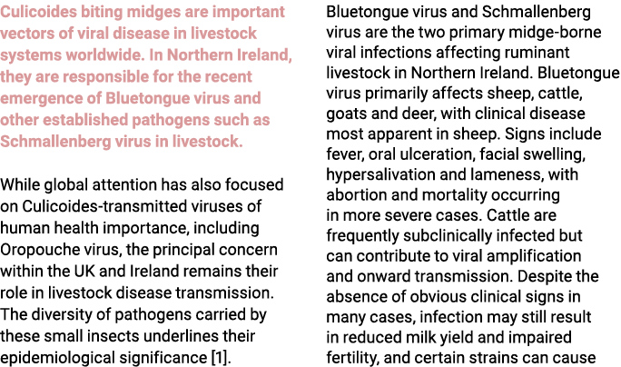 Culicoides biting midges are important vectors of viral disease in livestock systems worldwide. In Northern Ireland, ...