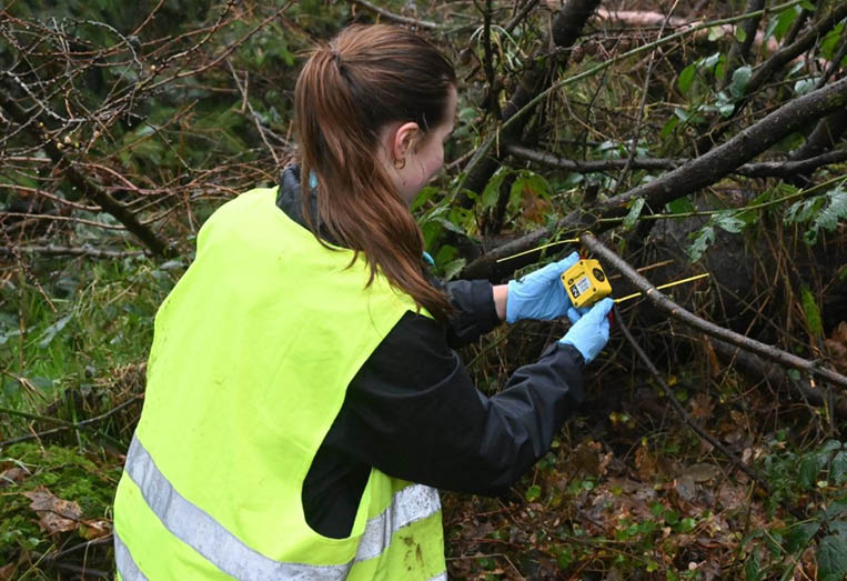 A woman wearing a yellow vest is cutting a tree branch with a yellow tool. AI generated content