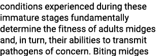 conditions experienced during these immature stages fundamentally determine the fitness of adults midges and, in turn...