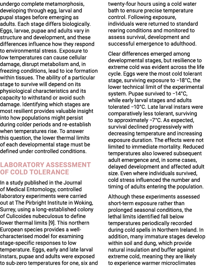 undergo complete metamorphosis, developing through egg, larval and pupal stages before emerging as adults. Each stage...
