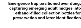 Emergence trap positioned over dung, capturing emerging adult midges into ethanol filled collection bottles for prese...