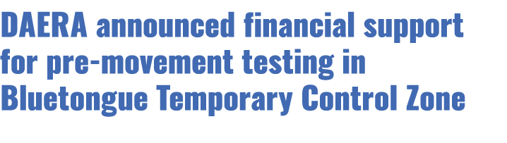 DAERA announced financial support for pre movement testing in Bluetongue Temporary Control Zone 