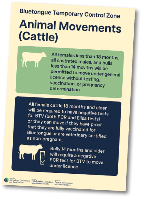 A poster showing the differences between male and female cows. AI generated content