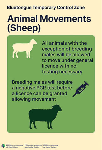 A poster with a picture of a sheep and the words “Animal Movements (Sheep)" written on it. AI generated content