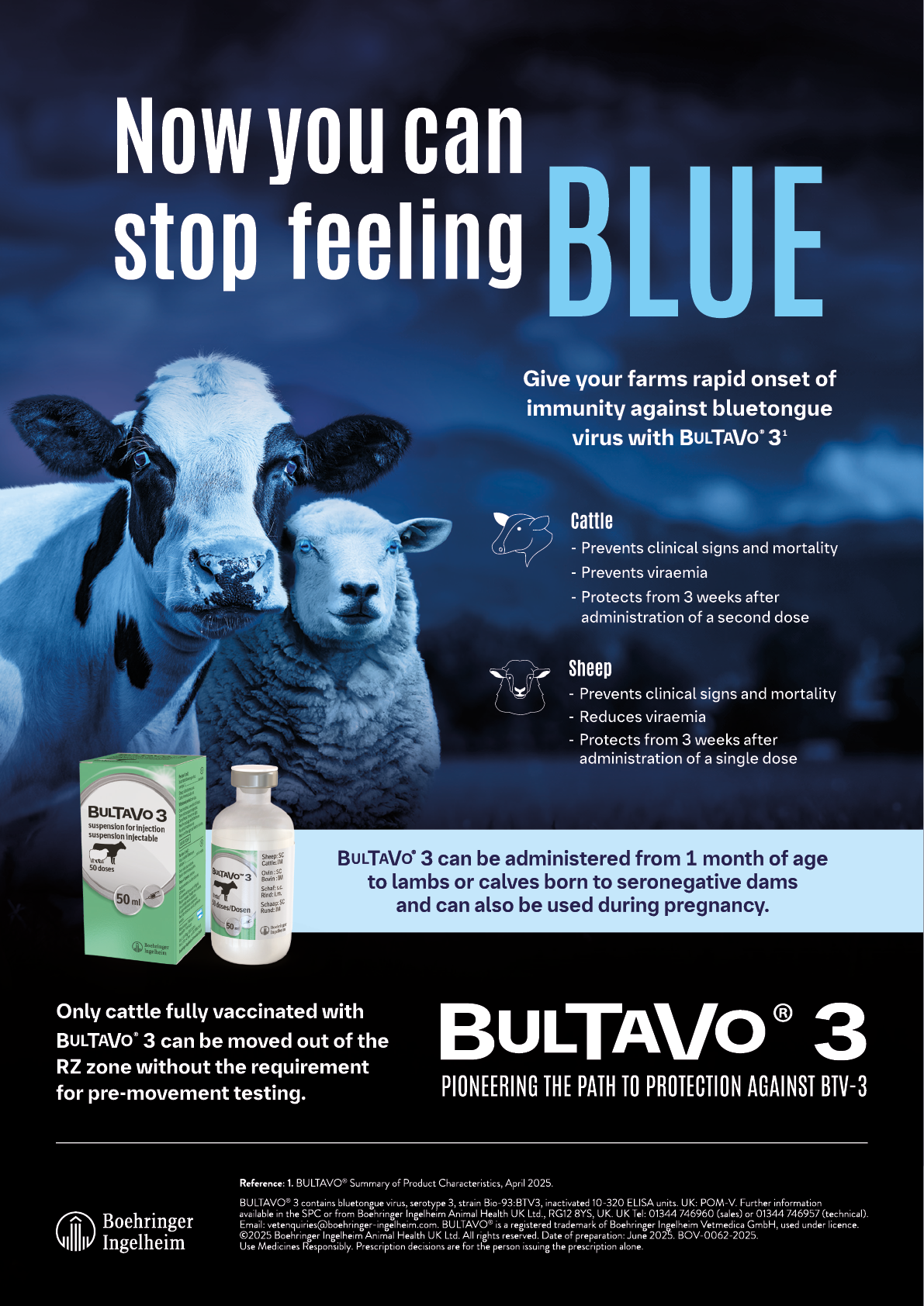 A cow and a sheep are shown on a blue background. The cow is on the left and the sheep is on the right. The cow is larger and has a white face, while the sheep is smaller and has a white face and body. The advertisement is for a product called Bullavio 3. AI generated content