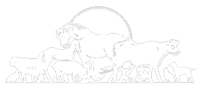 A black and white image of a horse pulling a wagon with several dogs in the back. AI generated content