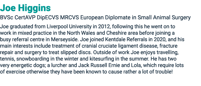 Joe Higgins BVSc CertAVP DipECVS MRCVS European Diplomate in Small Animal Surgery Joe graduated from Liverpool Univer...