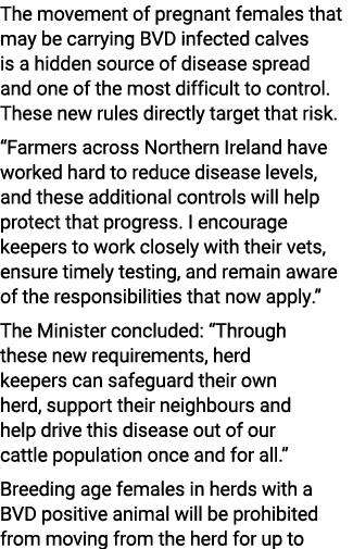 The movement of pregnant females that may be carrying BVD infected calves is a hidden source of disease spread and on...
