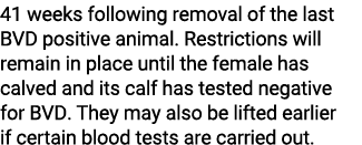 41 weeks following removal of the last BVD positive animal. Restrictions will remain in place until the female has ca...