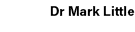 Dr Mark Little