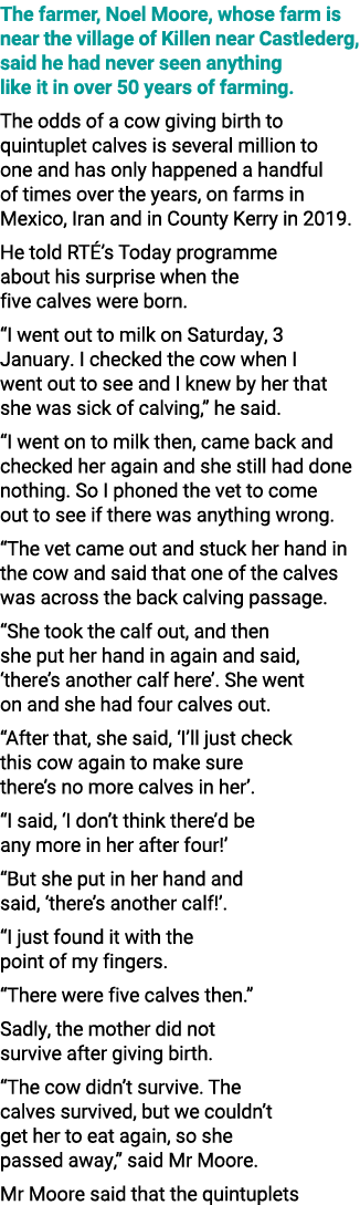 The farmer, Noel Moore, whose farm is near the village of Killen near Castlederg, said he had never seen anything lik...