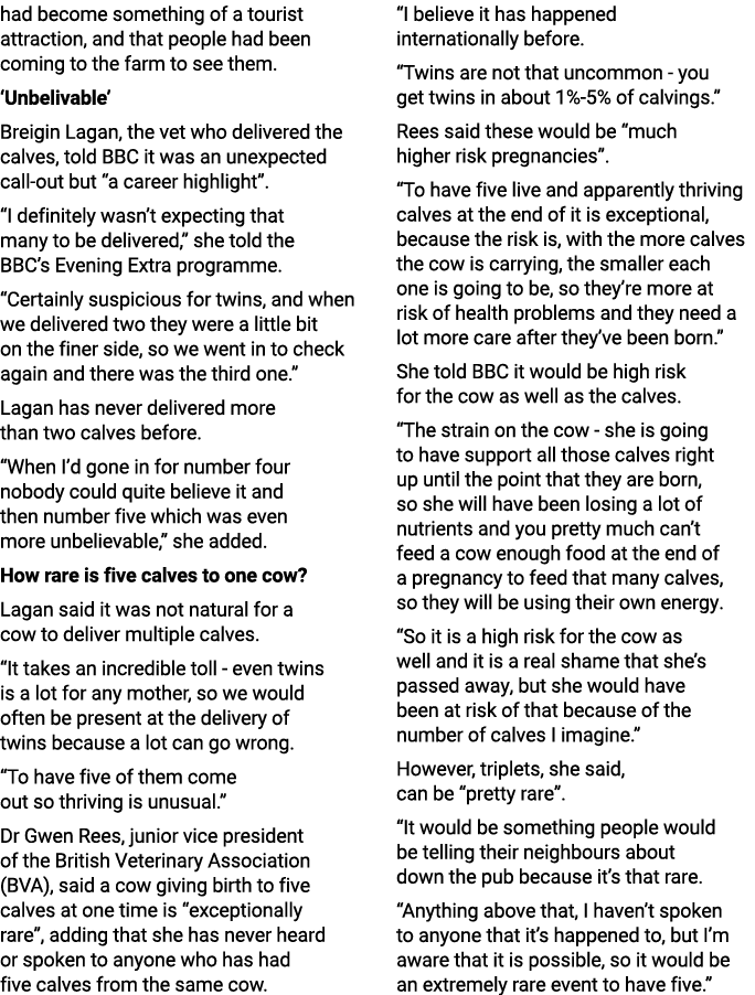 had become something of a tourist attraction, and that people had been coming to the farm to see them. ‘Unbelivable’ ...