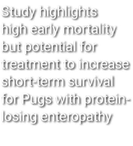 Study highlights high early mortality but potential for treatment to increase short term survival for Pugs with prote...