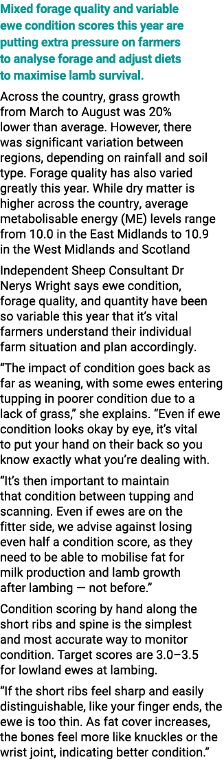 Mixed forage quality and variable ewe condition scores this year are putting extra pressure on farmers to analyse for...