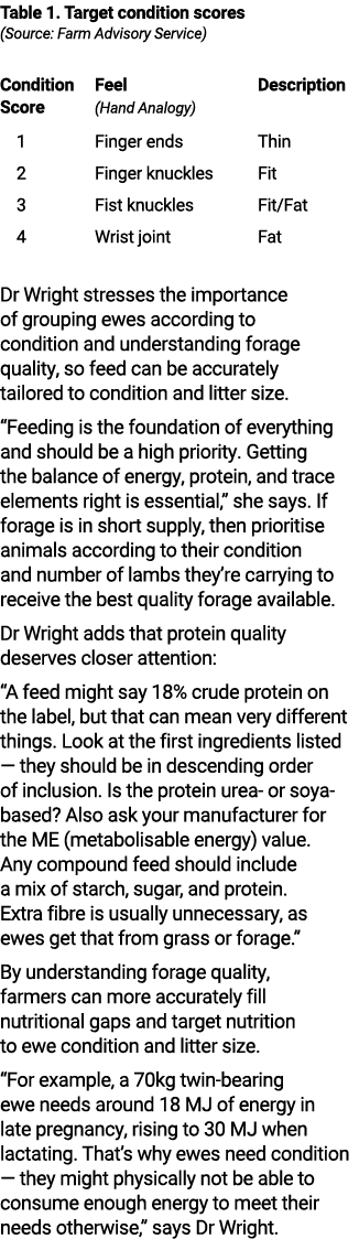 Table 1. Target condition scores (Source: Farm Advisory Service) Condition Feel Description Score (Hand Analogy) 1 Fi...