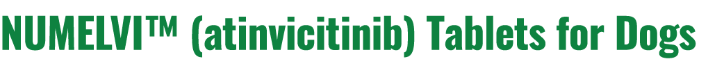 NUMELVI™ (atinvicitinib) Tablets for Dogs