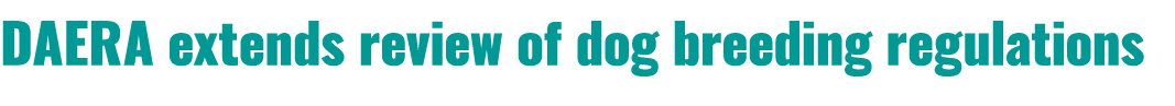 DAERA extends review of dog breeding regulations 