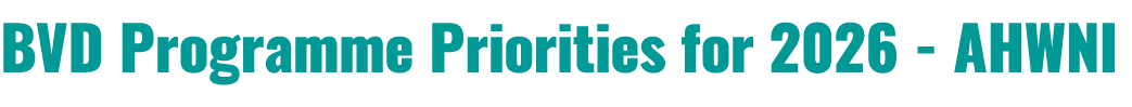 BVD Programme Priorities for 2026 AHWNI 