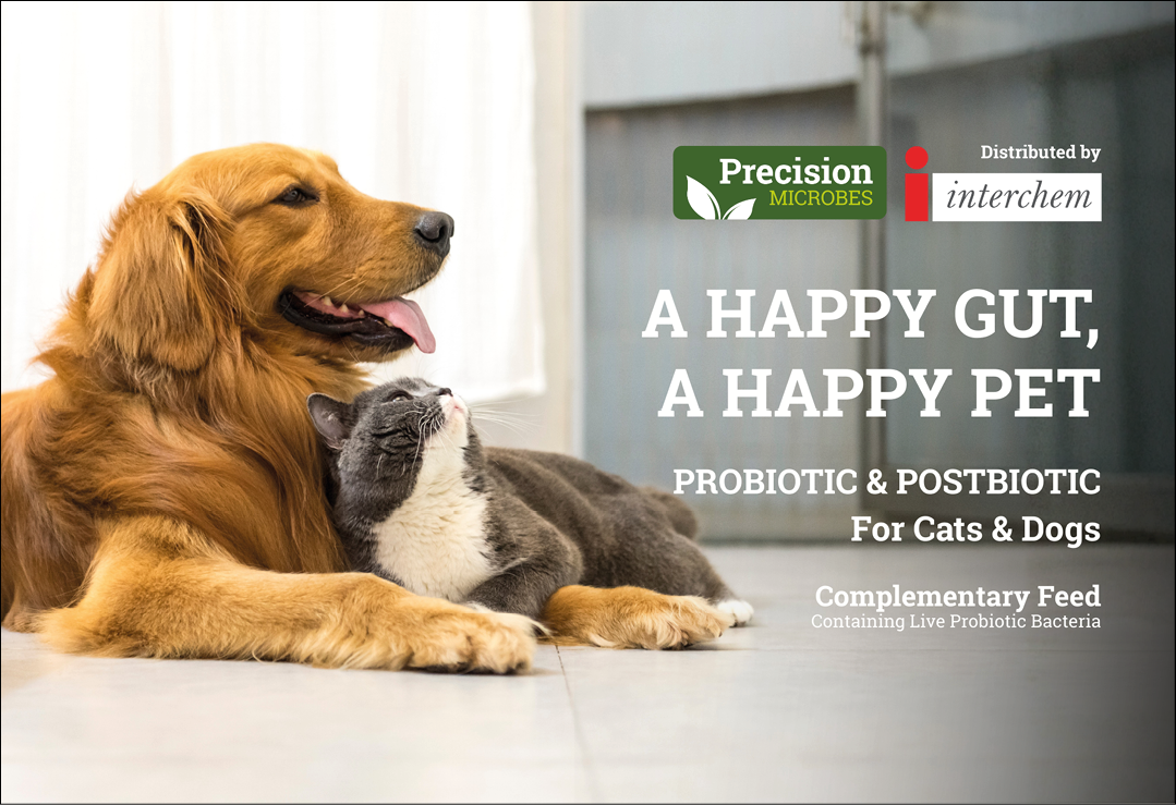 A dog and a cat are cuddling together. AI generated content