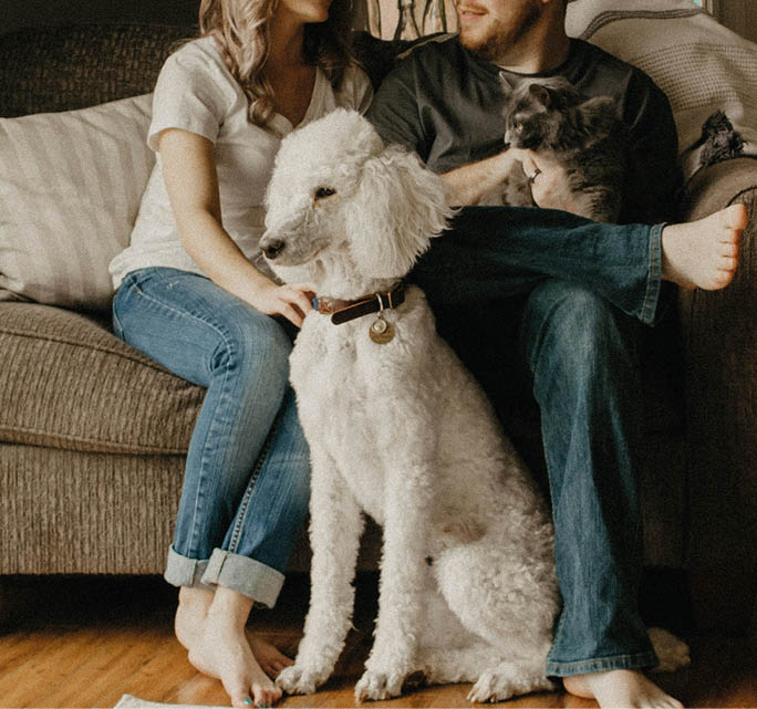 A man and woman are sitting on a couch with their dogs. AI generated content