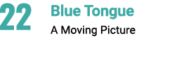 22 Blue Tongue A Moving Picture 