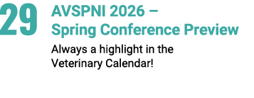 29 AVSPNI 2026 – Spring Conference Preview Always a highlight in the Veterinary Calendar!