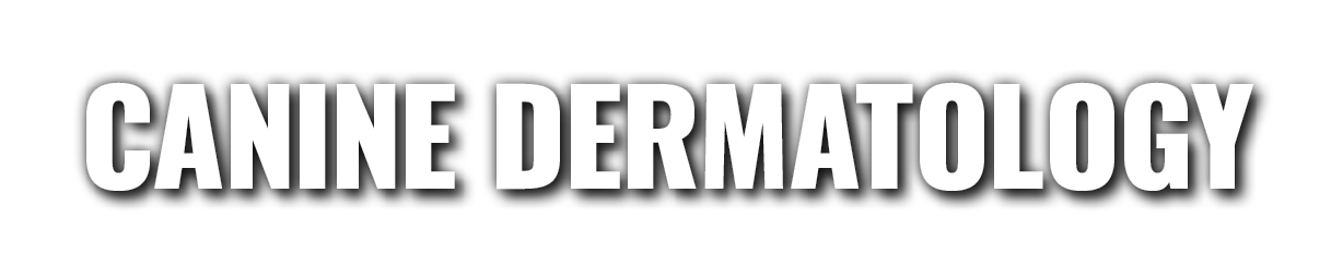 Canine Dermatology