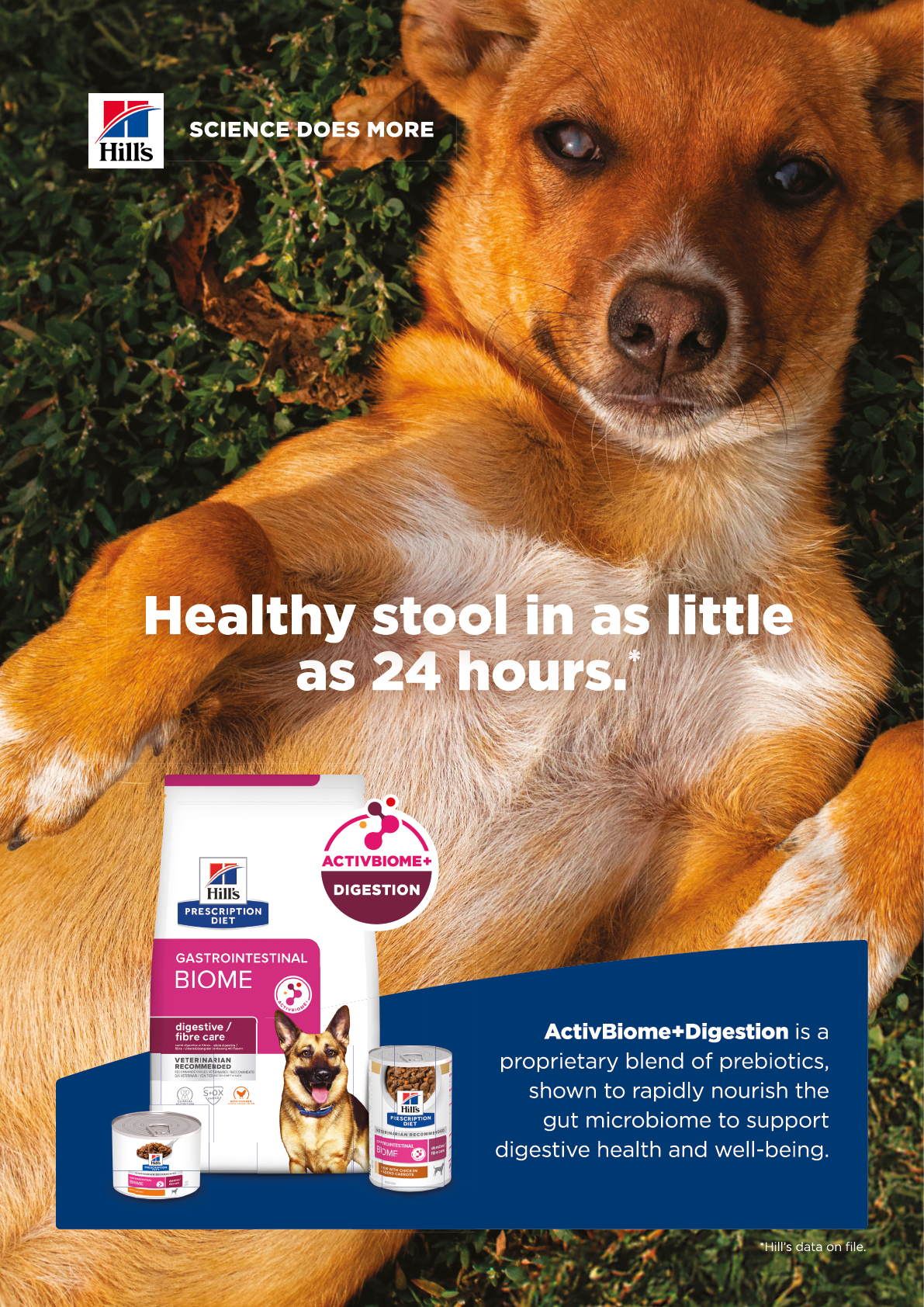 A dog is lying on a grassy field, with a sign advertising a healthy stool in 24 hours. AI generated content