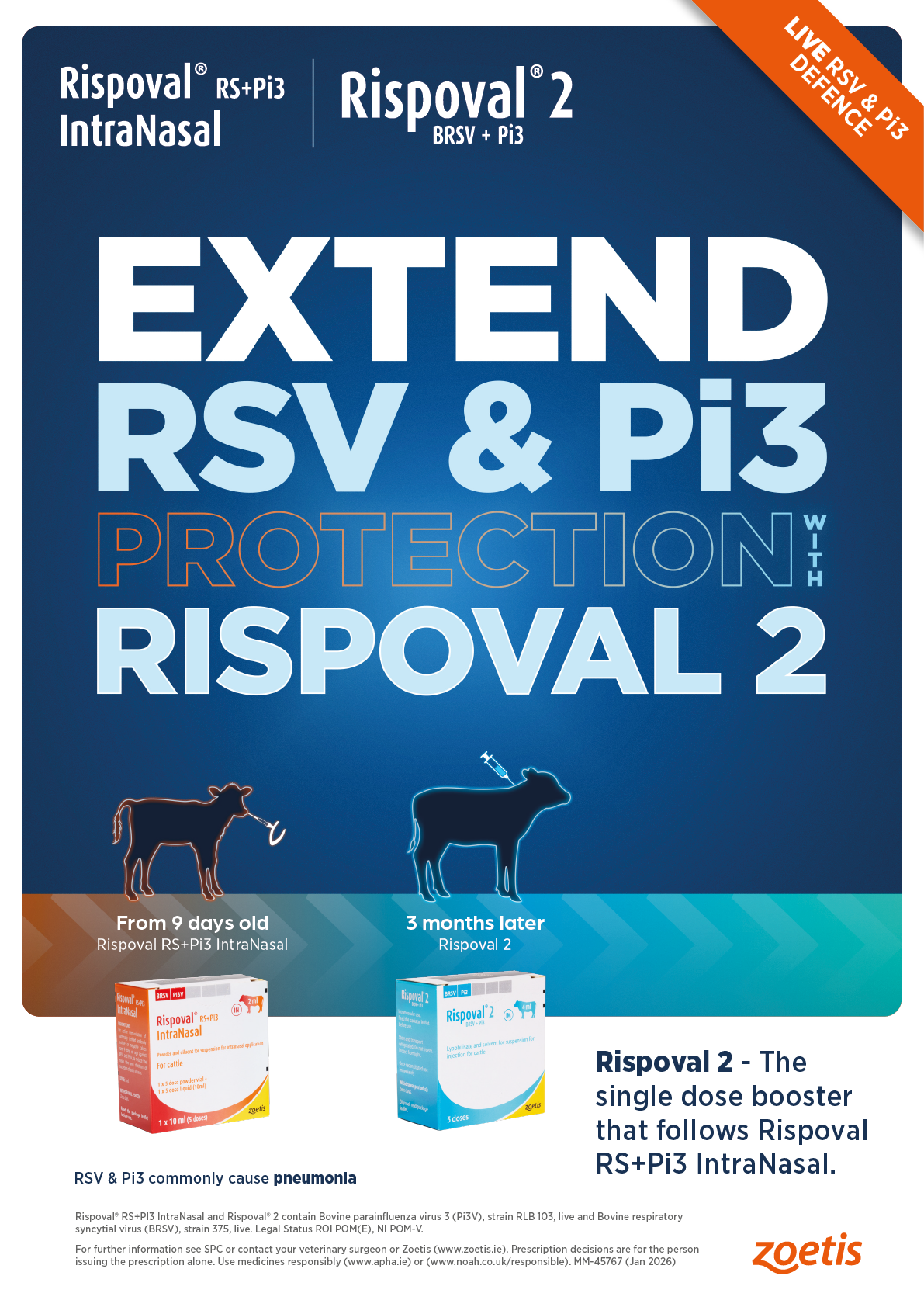 A blue and white advertisement for Rispoval 2, a medication for cattle. AI generated content
