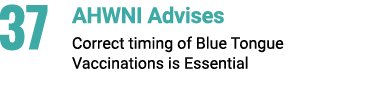 37 AHWNI Advises Correct timing of Blue Tongue Vaccinations is Essential 