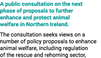 A public consultation on the next phase of proposals to further enhance and protect animal welfare in Northern Irelan...