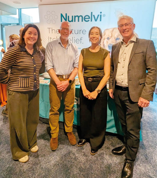 Four adults stand together in front of a promotional display for Numelvi, with one person wearing a striped sweater and pants, another in a light shirt and brown pants, a third in a sleeveless top and long skirt, and the fourth in a suit. Description generated by AI