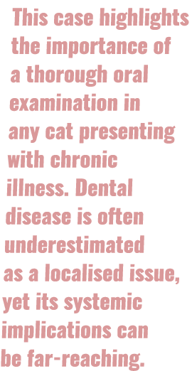This case highlights the importance of a thorough oral examination in any cat presenting with chronic illness. Dental...