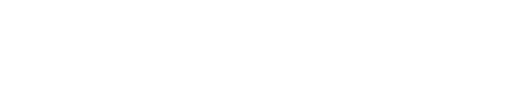 AHWNI and AHI initiative hosts public meeting on BVD