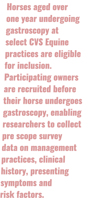 Horses aged over one year undergoing gastroscopy at select CVS Equine practices are eligible for inclusion. Participa...