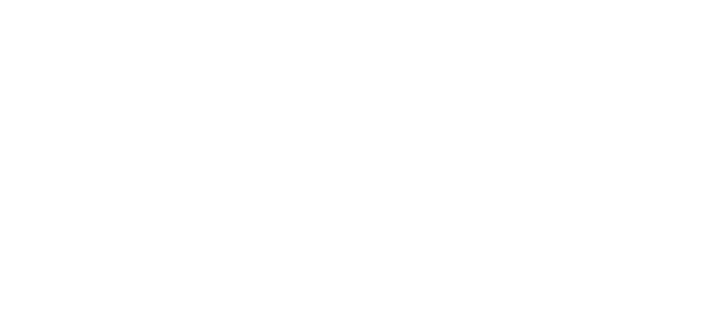 Successful trans atrial stent procedure for dog with heart tumour at Northern Ireland Veterinary Specialists