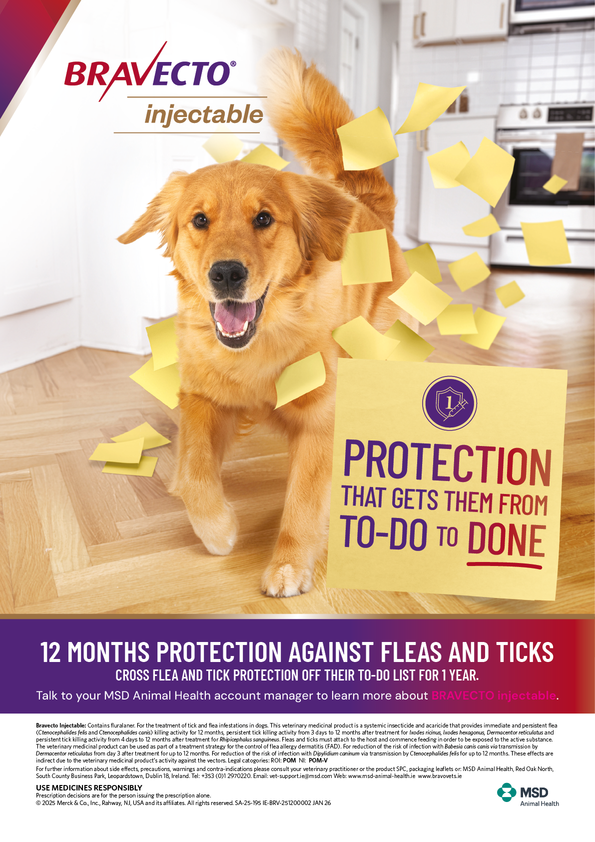 A happy dog is running indoors with yellow sticky notes flying around and a large sticky note reading protection that gets them from to-do to done, promoting 12 months protection against fleas and ticks from Bravecto injectable. Description generated by AI