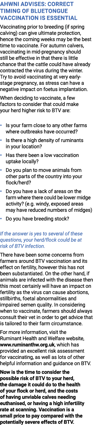 AHWNI Advises: Correct Timing of Bluetongue Vaccination is Essential Vaccinating prior to breeding (if spring calving...