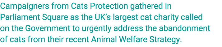 Campaigners from Cats Protection gathered in Parliament Square as the UK’s largest cat charity called on the Governme...