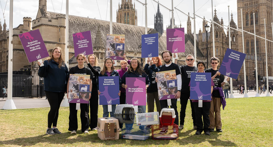 A group of adults standing on grass in front of historic buildings hold purple signs and pet carriers, appearing to participate in a protest or awareness event. Description generated by AI
