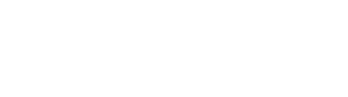 Cats Protection leads Parliament Square action as Government leaves cats out of Animal Welfare Strategy 