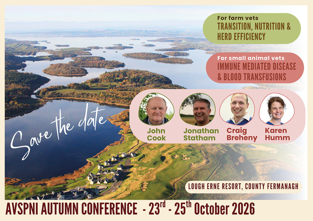 A scenic aerial view of a lake with islands and a small village is overlaid with text announcing the AVSPNI Autumn Conference in October 2026 featuring speakers on farm transition, nutrition, herd efficiency, immune mediated disease, and blood transfusions. Description generated by AI