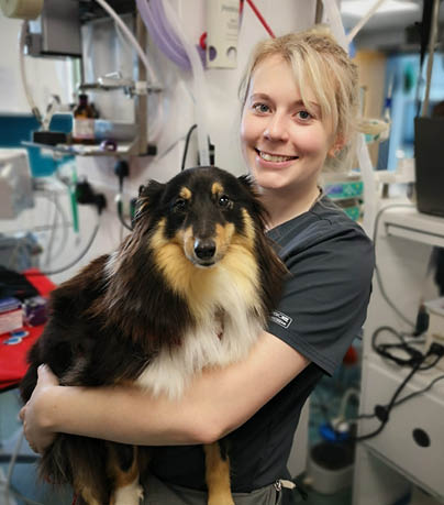 A close-up of a dog with black and tan fur looking directly at the camera. Description generated by AI