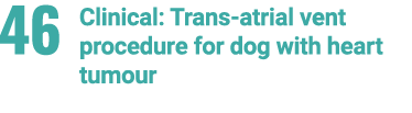 46 Clinical: Trans atrial vent procedure for dog with heart tumour